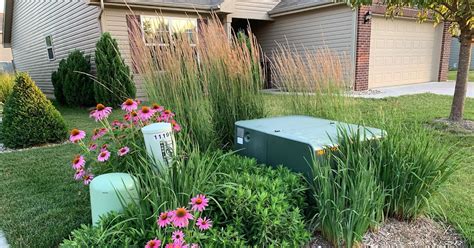 planting around electrical boxes|landscaping around utility boxes.